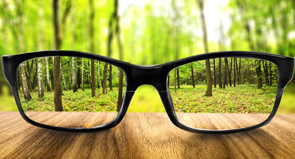 bigstock-Clear-forest-in-glasses-on-the-54563738